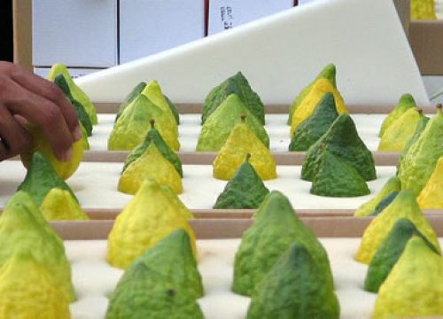 5-f-yanec-by-nd11297501710122008